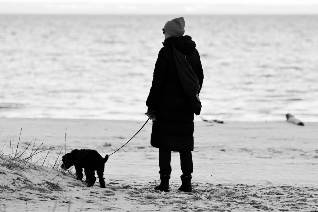 pexels efrem efre 2786187 19835328