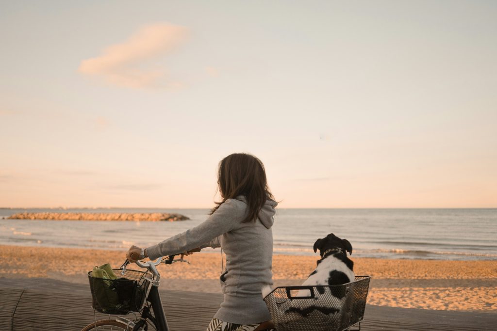 bike hugo clement nyabpjf9abk unsplash bike hugo clement nyabpjf9abk unsplash
